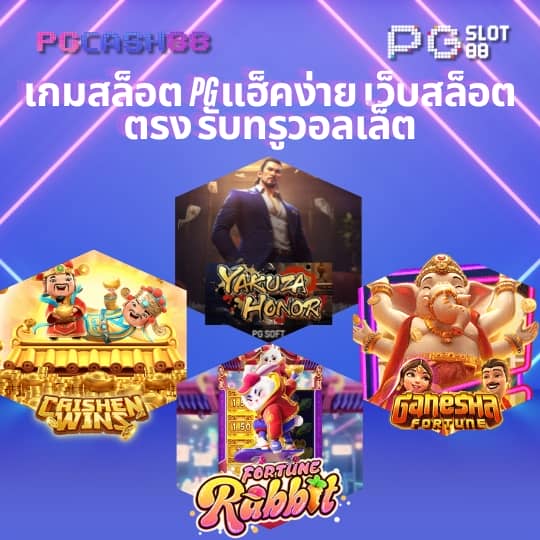 15รับ100 wallet