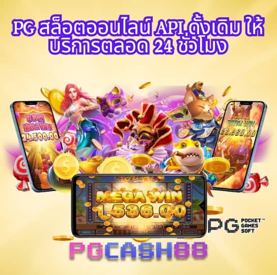 15รับ100 wallet
